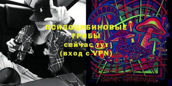 дмт Алзамай
