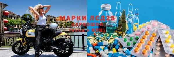 ПСИЛОЦИБИНОВЫЕ ГРИБЫ Алексеевка
