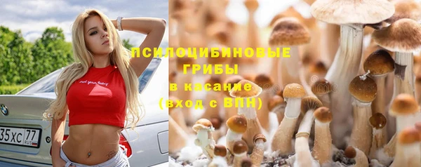 дмт Алзамай