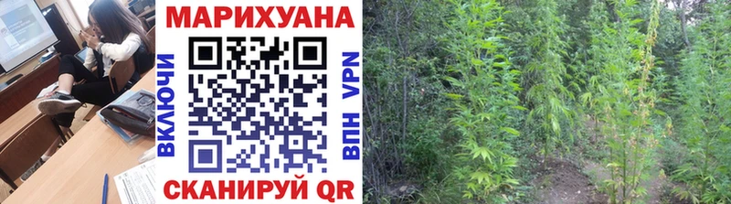 Каннабис план сайты даркнета телеграм blacksprut зеркало Клин купить наркоту